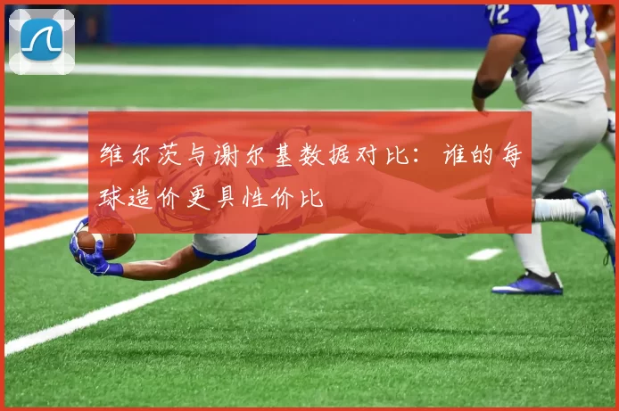 维尔茨与谢尔基数据对比：谁的每球造价更具性价比