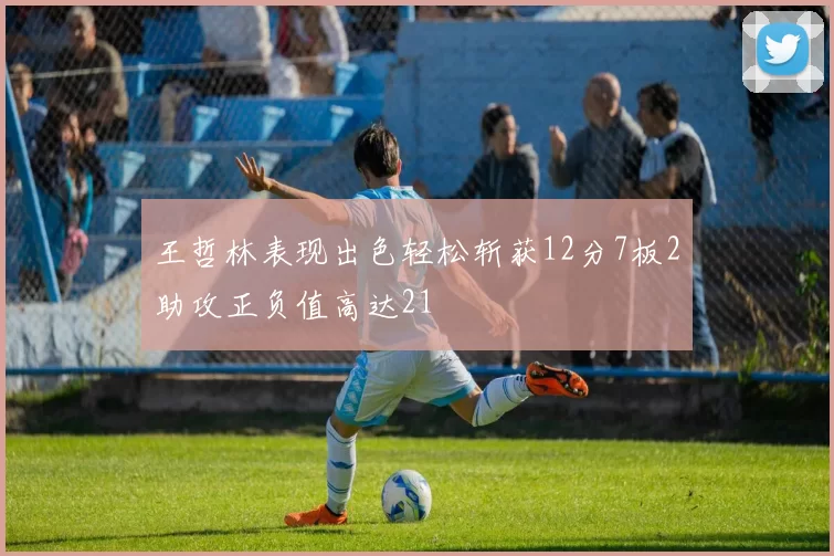 王哲林表现出色轻松斩获12分7板2助攻正负值高达21